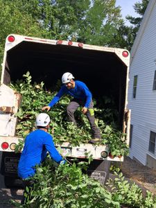 Our Fall Clean Up service ensures your yard is pristine by removing leaves, branches, and debris, preparing your landscape for winter while enhancing curb appeal and promoting tree health. for Leal & Jack Tree Service in Boston, MA