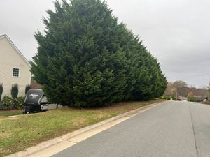 Enhance your home's curb appeal with our expert Shrub Trimming service, ensuring healthy growth and beautifully shaped shrubs. Our skilled team delivers precision care, tailored to your landscape's unique needs. for DW’s Tree Service in Winston-Salem, NC