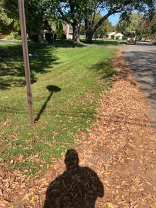 Our Fall Clean Up service is designed to help homeowners prepare their properties for the winter season by clearing out leaves, debris, and other seasonal messes to maintain a clean and well-maintained landscape. for Picture Perfect Property Maintenance LLC in Milwaukee, WI