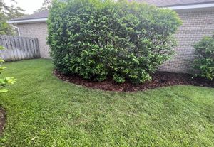 Our Tree Trimming service ensures your trees remain healthy, beautiful, and free from any potential hazards by expertly removing dead branches and promoting proper growth. for Poarch Creek Landscaping in Santa Rosa Beach, FL