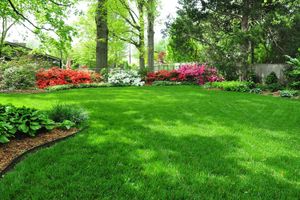 Our Fertilization and Weed Control service promotes healthy growth by providing essential nutrients to your lawn while effectively managing unwanted weeds, ensuring a lush, vibrant landscape for your home. for From the Ground Up Landscaping & Lawncare in New Lenox, IL