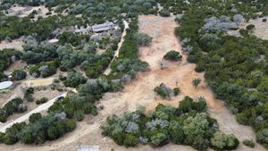 Our Land Clearing service efficiently removes trees, shrubs, and debris from your property, offering a clean slate for new landscaping or construction projects while ensuring safety and environmental responsibility. for HMRC Services in Boerne, TX