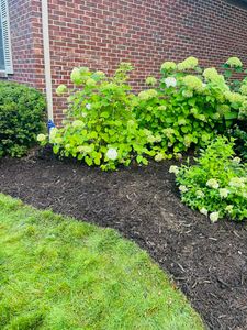 Enhance your lawn's beauty with our expert sod installation service, perfectly complemented by professional mulch installation, ensuring a lush and vibrant outdoor space for your home all year round. for Mulch & Dig in West Bloomfield Township, MI