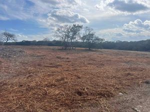 Enhance your landscape with our professional mulching service, which conserves soil moisture, suppresses weeds, and adds a polished look to your garden. Transform your outdoor space while promoting healthy plant growth. for HMRC Services in Boerne, TX