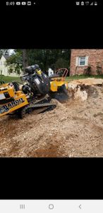 Our Stump Grinding service helps homeowners remove unwanted tree stumps from their property quickly and efficiently, ensuring a clean and seamless finish to enhance the overall aesthetics of your outdoor space. for Mario's Tree Service in Richmond, VA