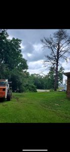 Enhance your home's safety and aesthetics with our expert tree trimming service, promoting healthy growth and preventing hazards while boosting curb appeal through precise, professional care tailored to your landscape's needs. for DR Tree Service in Ozark, AL