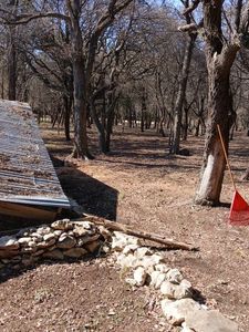 Our fall and spring clean up service ensures your yard is pristine, removing debris and promoting healthy growth for a vibrant landscape, enhancing beauty while preparing your property for each season effortlessly. for Superior Lawn and Tree LLC in Clifton, TX