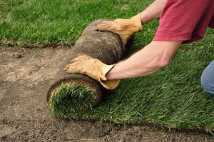 Our professional Sod Installation service will transform your lawn with fresh, healthy grass. Our team will handle all aspects of the installation process to ensure a lush, vibrant result for your home. for Fryer Lawn & Landscape LLC in Southington, CT