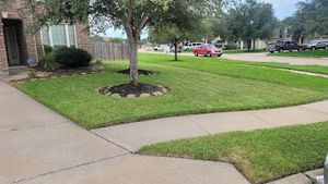 Our Mowing service provides professional lawn care, including trimming and edging for a beautiful, healthy lawn. for T.W. Lawn Care in Pearland, TX