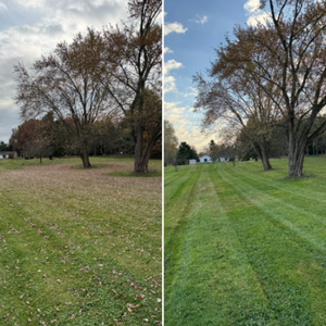 Our Fall Clean Up service ensures your lawn is prepped for winter, including leaf removal, branch clearing, and debris management. Enjoy a tidy garden with expert care for a healthy spring start. for Vasel's Landscaping Services in Medina, OH