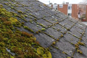 Our Roof Cleaning service involves removing moss, algae, and debris from your roof to improve its appearance and longevity. Extend the life of your roof with our professional cleaning services. for Roose Paint & Restoration LLC  in Aberdeen, WA