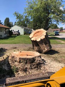 Our Wooded Lot or Structure Clearance service helps homeowners remove trees and brush from their property to create a safer and more open space for enjoying the outdoors. Contact us today! for Pro Tree Trim & Removal, Llc in Dayton, OH