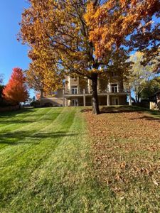 Our Fall Leaf Cleanup & Removal service ensures that your property is clean and free of leaves come fall. We will remove all the leaves from your property and dispose of them in a safe manner. for Pureleaf Lawncare LLC in Lowell, AR