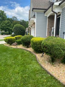 Our Other Lawn Services offer specialized treatments to help maintain a healthy lawn, including fertilization and weed control. for Alligator Lawn Care LLC in Siler City, North Carolina