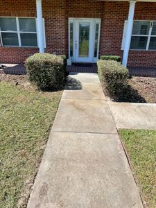 Our Shrub Trimming service expertly shapes and nurtures your shrubs, enhancing curb appeal and promoting healthy growth, ensuring your landscape remains vibrant throughout the year with precise care tailored to each plant's needs. for Duck's Lawn & Tree Service, LLC. in Lakeland, FL