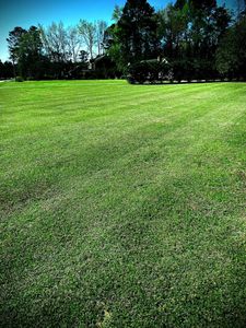 Enhance your lawn's health with our expert aeration service, which improves soil drainage and nutrient absorption, resulting in a lush, vibrant yard year-round. Trust our team for professional care and beautiful results. for Linhale Landscaping & Lawn Care in Florence, SC