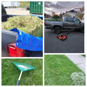 Our experienced team offers professional grass cutting services to homeowners seeking a neatly manicured lawn. Let us handle the hard work so you can enjoy your outdoor space hassle-free. for Sole Pro PA in Lancaster, PA