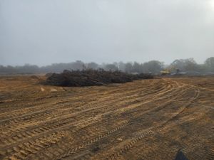 Our Land Clearing service efficiently removes unwanted trees, stumps, and brush from your property, creating a clean slate for landscaping or construction while enhancing safety and increasing land value. for CKD's Mulching Services in League City, TX