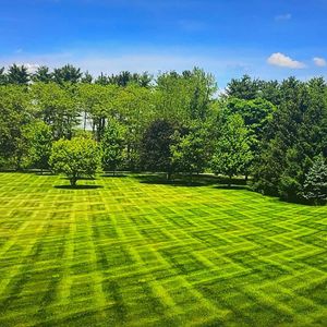 Keeping your lawn freshly mowed not only helps with the aesthetic of your property but ensures that your grass stays healthy! We take pride in viewing your yard as an extension of your home and leaving behind beautiful stripes. Call to learn more about our mowing services. for Rose City Lawn & Landscaping in Springfield, Ohio