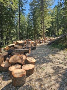 Our Tree Removal service ensures safe, efficient removal of unwanted or hazardous trees from your property, using expert techniques and equipment to protect your landscape and enhance safety. for Portneuf Valley Tree Service in Pocatello, ID