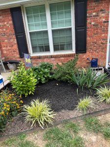 Our shrub trimming service is the perfect way to keep your bushes looking their best. We'll trim them and shape them to perfection, so they'll be sure to enhance your landscape. for I & C Landscaping in Golden Beach, MD 