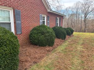 Our Lawn Maintenance service offers expert care to ensure your grass remains healthy, lush, and pristine. We provide mowing, trimming, fertilization, and more for a beautiful outdoor space year-round. for Palmetto State Landscaping in Gaffney, SC