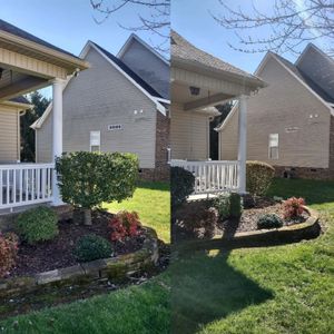 We can help keep your shrubs looking neat and healthy with our professional trimming services. Let us take care of the hard work for you! for Morgan's Stump Removal in Rock HIll, SC