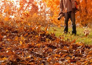 Our Leaf Clean-up & Removal service ensures your yard stays tidy and leaf-free, enhancing its appearance and preventing potential damage to your property. Trust us for a pristine outdoor space! for LeafTide Solutions in Richmond, VA