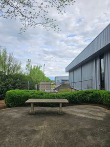 Enhance your home's curb appeal with our professional shrub trimming service. We meticulously shape and maintain your shrubs, ensuring a healthy, vibrant landscape tailored to complement your outdoor space beautifully. for Sasquatch Tree Services LLC in Spartanburg, SC