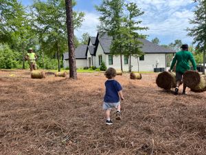 Prepare your outdoor space for the season ahead with All-Star Lawn Care & Soft Washing’s comprehensive fall cleanup services. Our team specializes in maintaining and enhancing landscapes, ensuring they remain healthy, vibrant, and beautiful throughou for All-Star Lawn Care & Soft Washing in Mobile, AL