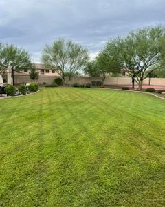 We provide comprehensive residential maintenance services to keep your home's exterior looking its best. Weekly, Bi-Weekly and Quarterly packages are available. Reach out to learn more! for American Dream Landscape Company in Surprise, AZ