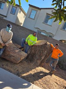 Our Tree Removal service safely and efficiently removes unwanted or hazardous trees, ensuring your property's safety and enhancing its appearance while using expert techniques and equipment to minimize any environmental impact. for Loya's Tree Trimming and Removal in Glendale, AZ