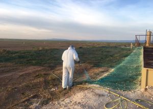 Our Rodent Infestation service provides thorough inspection, effective extermination, and tailored prevention plans to ensure your home remains rodent-free, safeguarding your family’s health and maintaining a clean living environment. for Maverick Weed & Pest Control in Pecos, TX