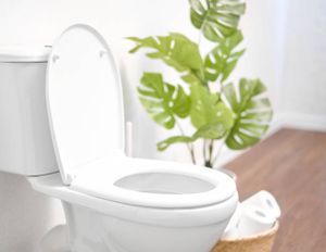 Our expert plumbing team provides reliable toilet repairs and installations, ensuring efficient operation and peace of mind. Trust us to swiftly address leaks, clogs, or new fixture installations with professionalism and expertise. for Harvey's Drain Solutions in Alexandria, KY