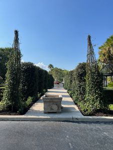 Our Vines Installating service provides professionally installed, beautiful vines to enhance your home's landscaping. Let us create a unique look for you! for Rey Landscaping & Lawn service LLC in West Palm Beach,  FL