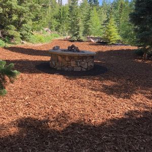 Our Tree & Shrub Care service ensures the health and beauty of your landscape, providing expert pruning, disease management, and personalized care to enhance growth and protect your investment year-round. for Three Diamond’s LLC in Kamas, UT