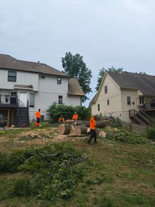 Our Tree Removal service safely and efficiently eliminates unwanted or hazardous trees, enhancing your property's safety and aesthetic appeal. Trust our experienced team for a professional, reliable solution tailored to your needs. for Cross Family Tree Service in Kearney, MO