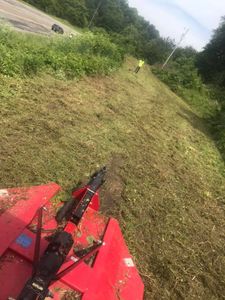 Bush Hogging is a cost-effective service that uses heavy equipment to clear overgrown vegetation and create a clean, open landscape. for Elias Grading and Hauling in Black Mountain, NC