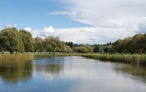 Our Pond & Lake Cleaning service offers comprehensive maintenance solutions to ensure crystal-clear water, healthy aquatic life, and a stunning waterfront for your property. Trust us for expert care and exceptional results. for RICH Trucking in Union, KY