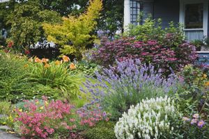Clovis offers certified landscape experts who can assist homeowners in selecting and installing plants, catering to those who enjoy gardening but dislike digging, dirt or bugs. for Clovis Outdoor Services in Stony Brook, New York