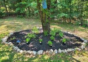 Our Commercial Lawn Maintenance service ensures pristine landscapes with professional care, enhancing curb appeal and property value through regular mowing, trimming, fertilization, and weed control tailored to meet your business needs. for Muddy Paws Landscaping in Blythewood, SC