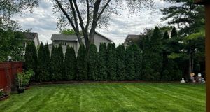 Our tree installation service provides homeowners with beautiful and healthy trees that will enhance their property. We take care in choosing the right trees for each customer's landscape, and our experienced professionals will install them properly so we can thrive for years to come. for Moreno Landscaping in Mundelein, IL