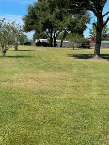 Discover our other lawn services and elevate your outdoor space. From fertilization to pest control, our expert team ensures a lush, healthy garden tailored to your needs. Contact us today! for Duck's Lawn & Tree Service, LLC. in Lakeland, FL