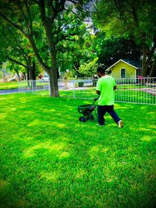 Our Fall and Spring Clean Up service includes a thorough clean up of your yard, including the removal of all leaves, branches, and other debris. We will also trim any overgrown plants and shrubs, and mulch all flower beds. for Del Real Landscape Contractors LLC in Del Rio, TX