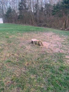 Our Stump Grinding service effectively removes remaining tree stumps from your property, ensuring safety and enhancing the aesthetic appeal of your landscape. for Optimum Tree Service And Landscaping in Bowling Green, KY