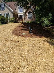Our Clearing service efficiently removes debris and blockages from septic and sewer systems, ensuring optimal functionality, preventing issues, and promoting a healthy environment for your home. for Septic & Sewer Solutions in Buford, GA