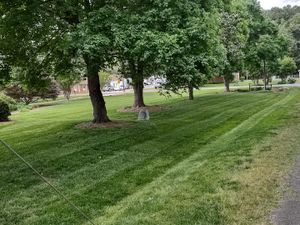 Our Fertilization service ensures that your lawn receives the necessary nutrients to thrive, resulting in lush green grass and a healthier-looking landscape. for Kerr’s Lawn Care in Salisbury, NC