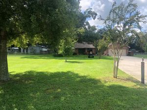 We provide professional mowing services to maintain your lawn's health and appearance. Our experienced team uses the latest technology for a high quality, low-cost service. for Daniel Sons Landscaping &Maintenance in Tampa, Florida