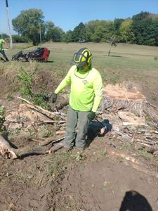 Our Fall Clean Up service removes leaves, branches, and seasonal debris from your property, keeping your landscape neat, healthy, and winter-ready while enhancing curb appeal and protecting your lawn. for Mitchell Tree Company in Lathrop, MO