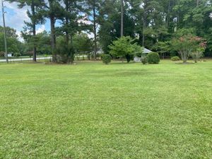 Enhance your lawn's health with our professional fertilization service, providing essential nutrients to promote lush growth and vibrant greenery, ensuring your landscape remains beautiful and resilient throughout the seasons. for Total Terrain Services in Montgomery, TX